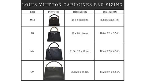 louis vuitton capucine size chart.